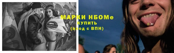 прущие грибы Беломорск