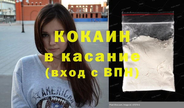 прущие грибы Беломорск