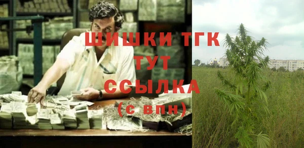 прущие грибы Беломорск