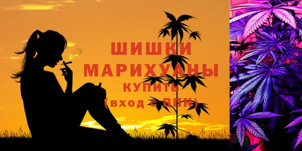 прущие грибы Беломорск