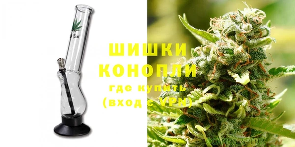 прущие грибы Беломорск