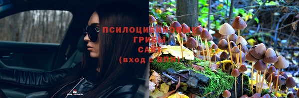 Альфа ПВП Белокуриха
