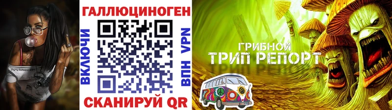 blacksprut ССЫЛКА  Кремёнки  Псилоцибиновые грибы ЛСД  наркота 